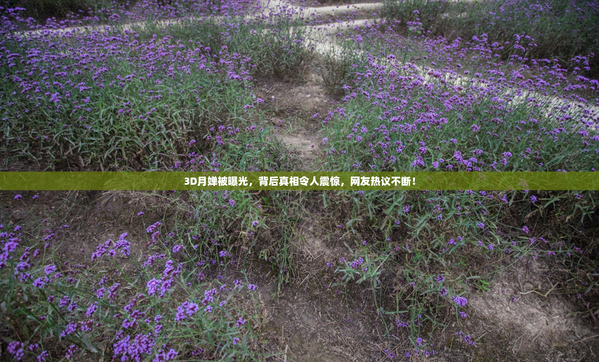 3D月婵被曝光，背后真相令人震惊，网友热议不断！