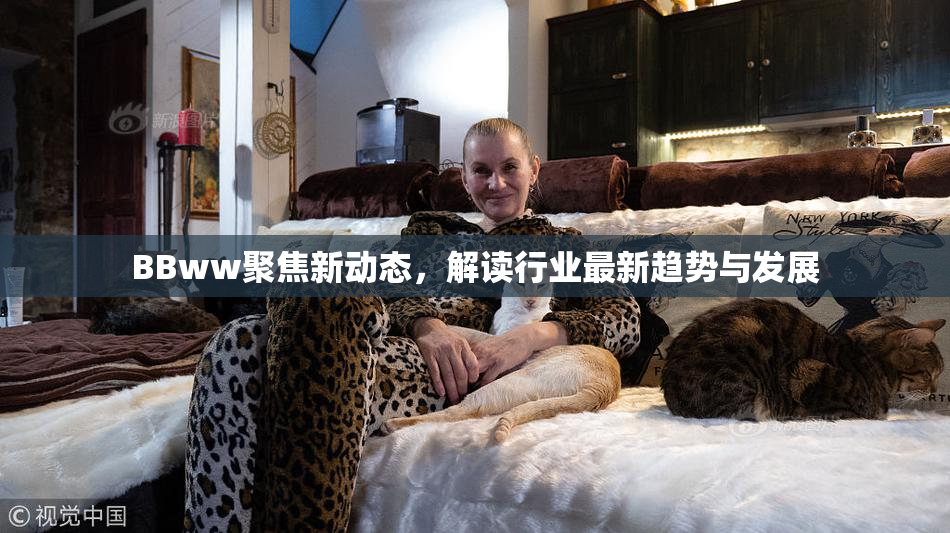 BBww聚焦新动态，解读行业最新趋势与发展