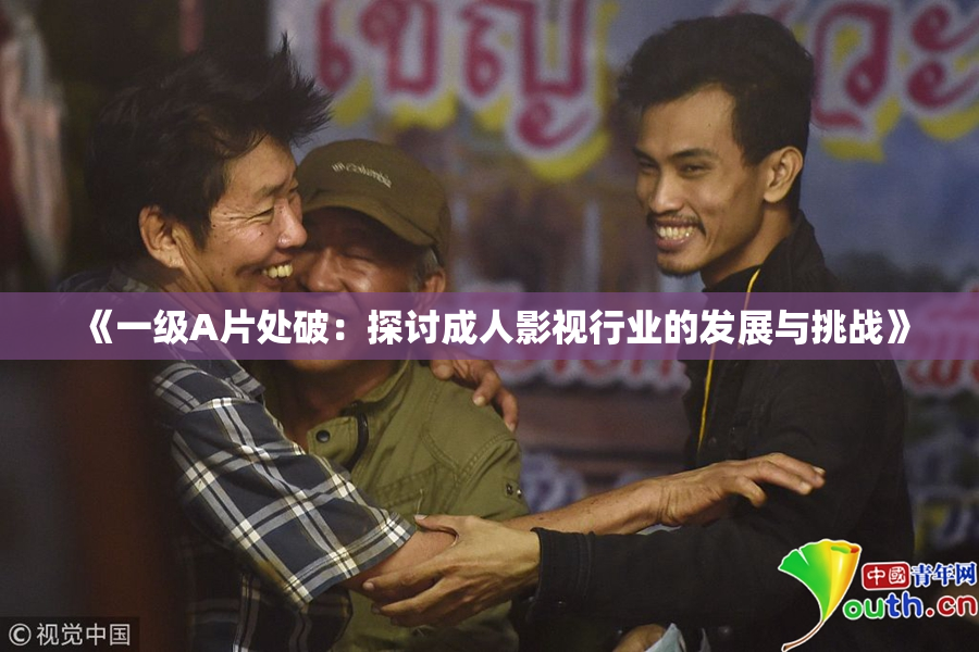 《一级A片处破：探讨成人影视行业的发展与挑战》
