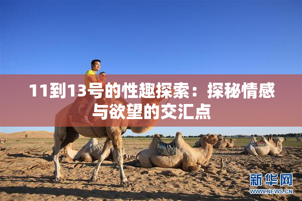 11到13号的性趣探索：探秘情感与欲望的交汇点