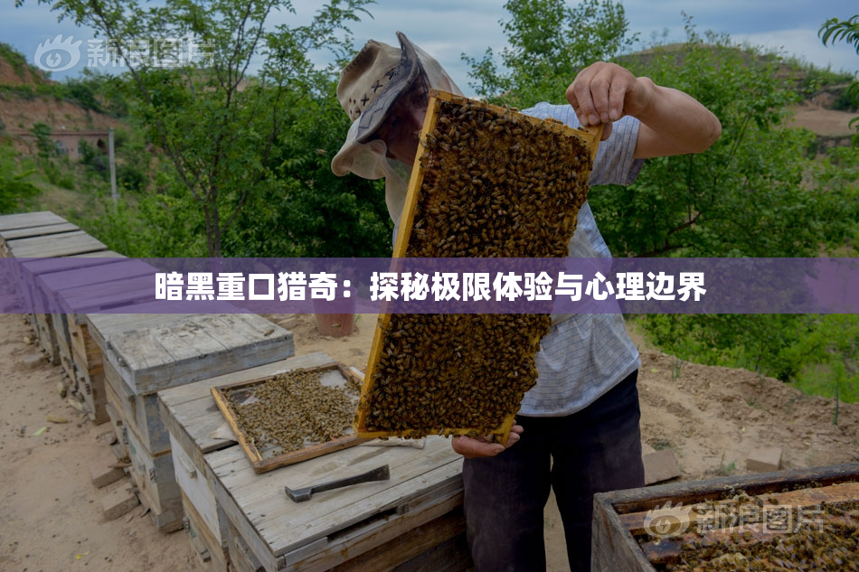暗黑重口猎奇：探秘极限体验与心理边界
