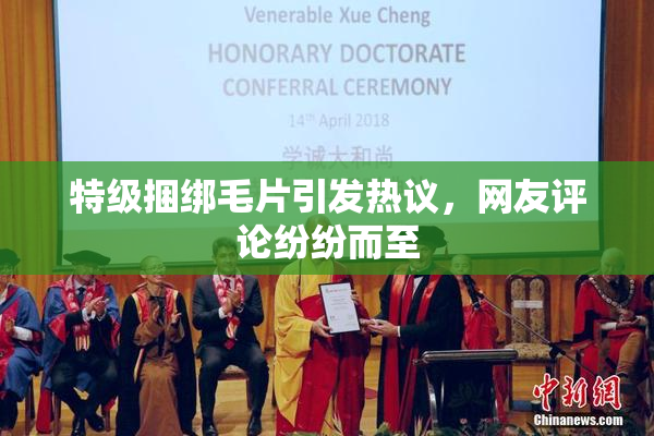 特级捆绑毛片引发热议，网友评论纷纷而至