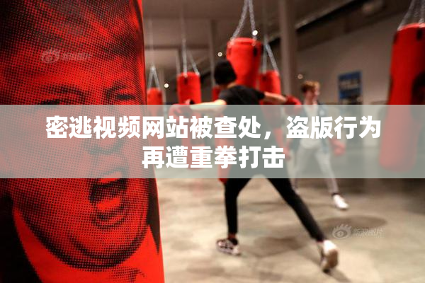密逃视频网站被查处，盗版行为再遭重拳打击