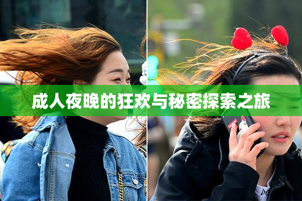成人夜晚的狂欢与秘密探索之旅