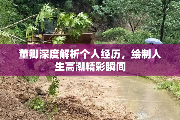 董卿深度解析个人经历，绘制人生高潮精彩瞬间