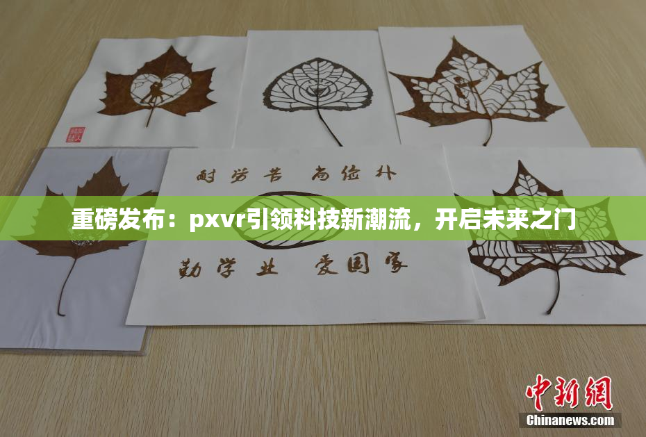 重磅发布：pxvr引领科技新潮流，开启未来之门