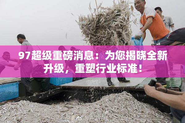 97超级重磅消息：为您揭晓全新升级，重塑行业标准！
