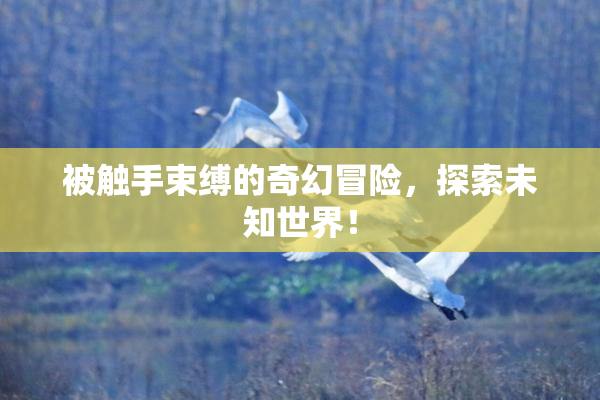 被触手束缚的奇幻冒险，探索未知世界！