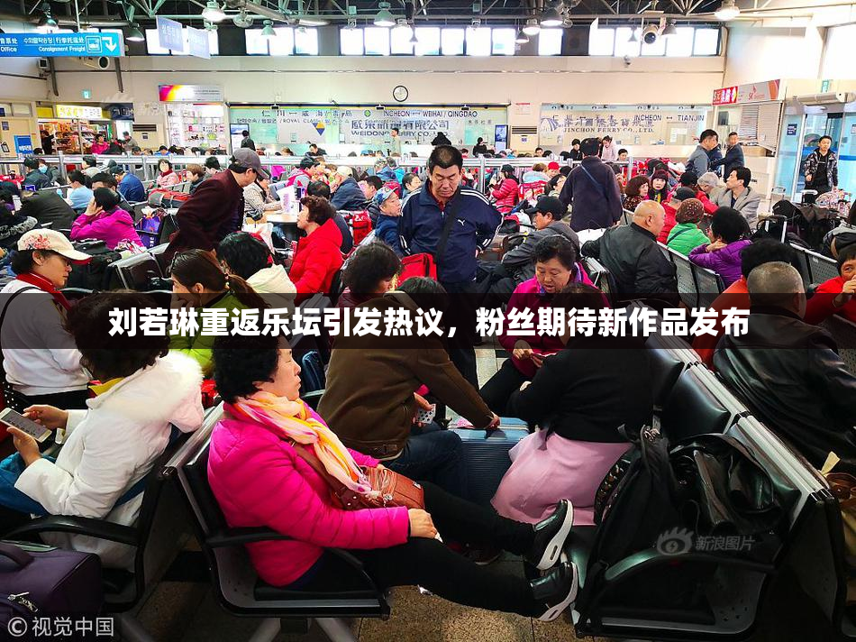 刘若琳重返乐坛引发热议，粉丝期待新作品发布