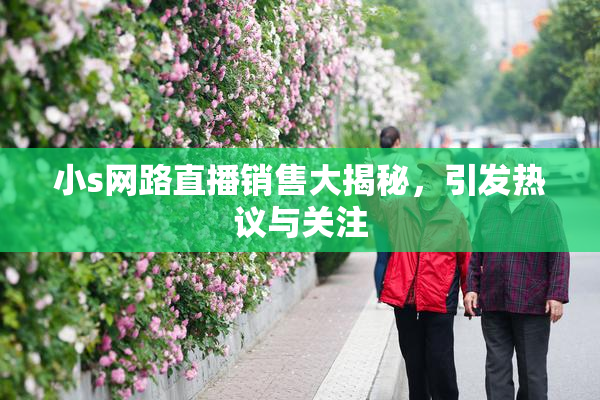 小s网路直播销售大揭秘，引发热议与关注