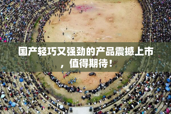 国产轻巧又强劲的产品震撼上市，值得期待！