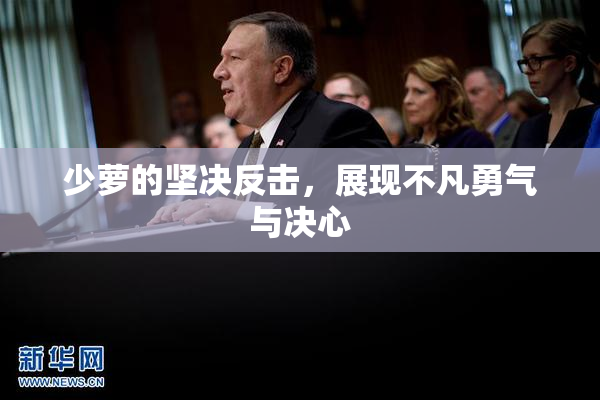 少萝的坚决反击，展现不凡勇气与决心