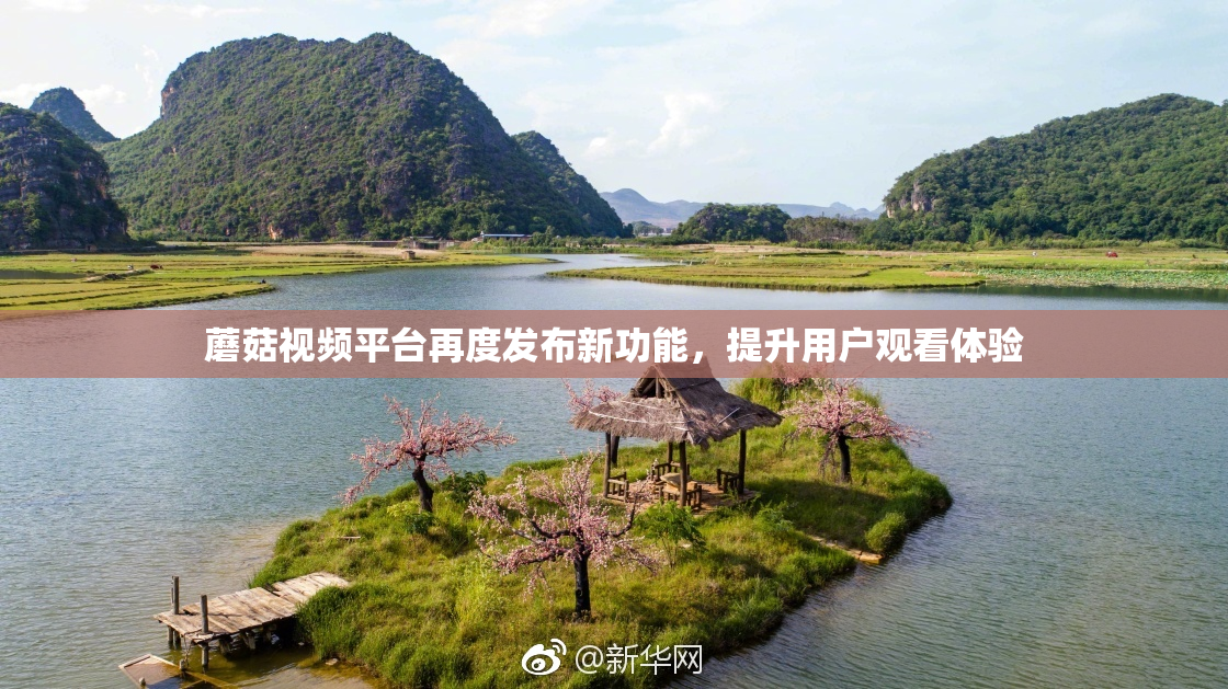 蘑菇视频平台再度发布新功能，提升用户观看体验