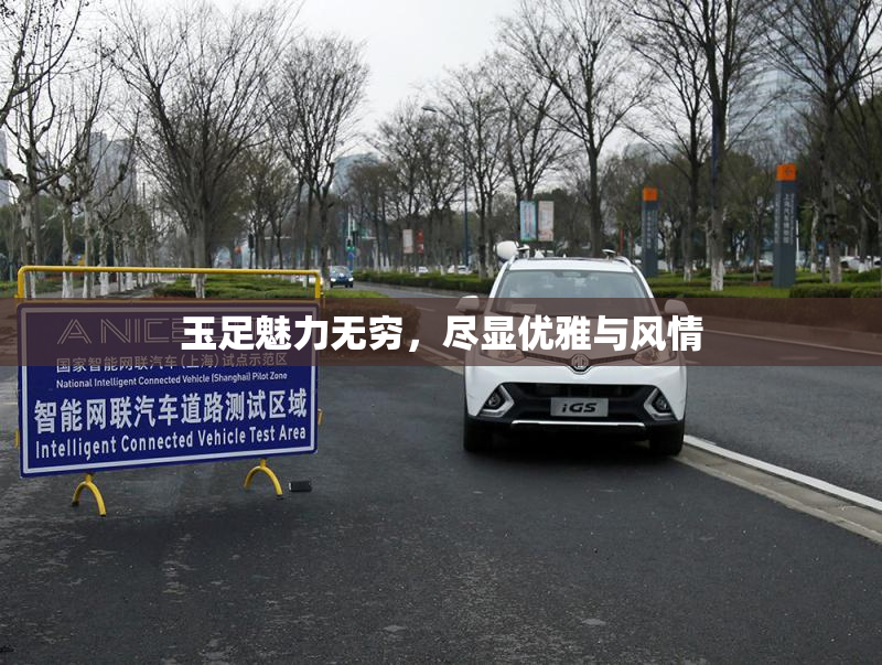 玉足魅力无穷，尽显优雅与风情