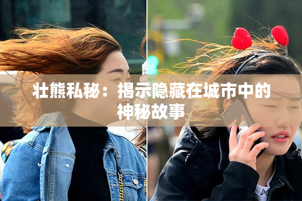 壮熊私秘：揭示隐藏在城市中的神秘故事