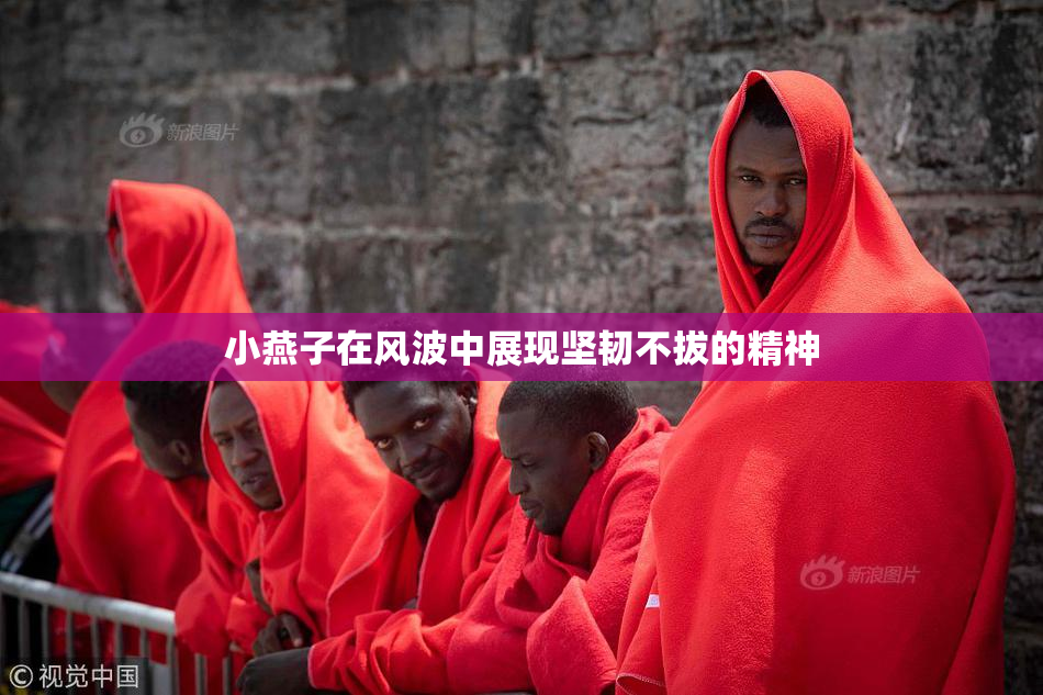 小燕子在风波中展现坚韧不拔的精神