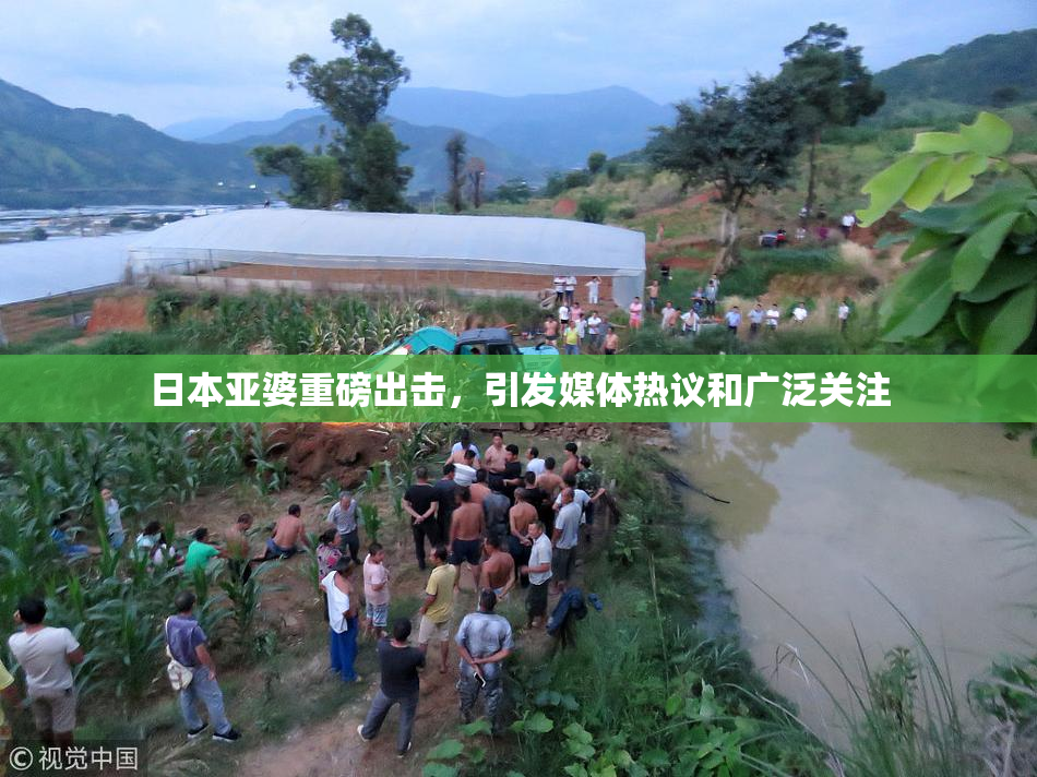 日本亚婆重磅出击，引发媒体热议和广泛关注