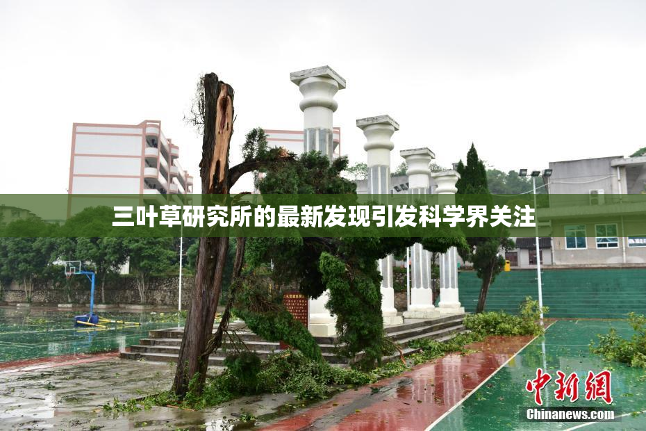 三叶草研究所的最新发现引发科学界关注