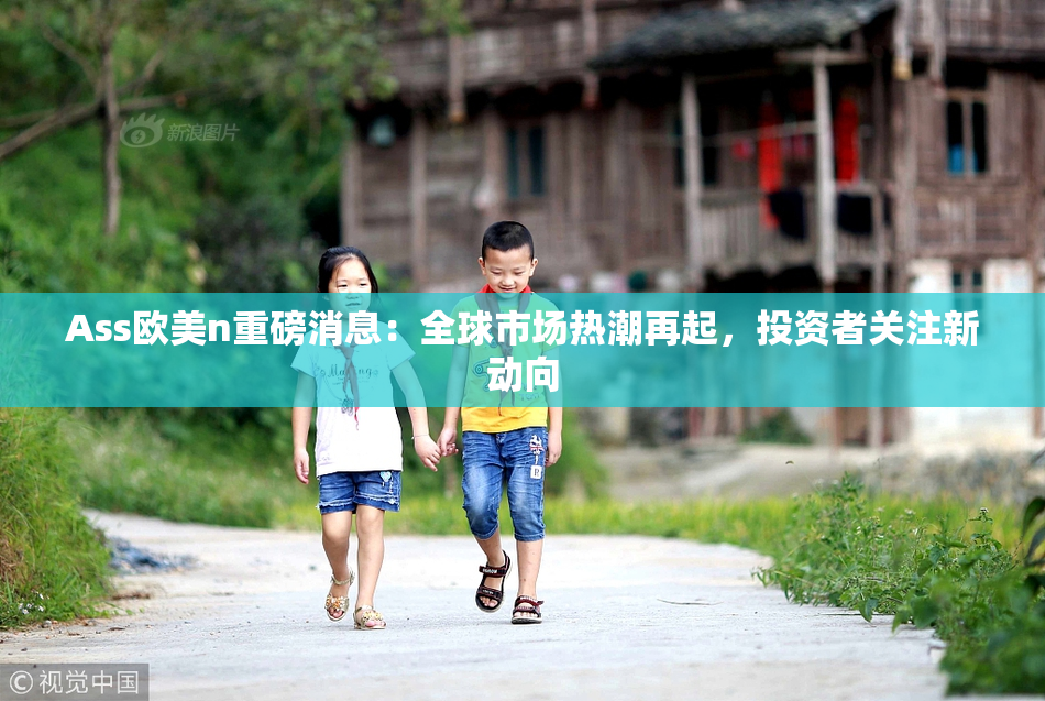 Ass欧美n重磅消息：全球市场热潮再起，投资者关注新动向
