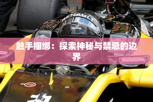 触手捆绑：探索神秘与禁忌的边界