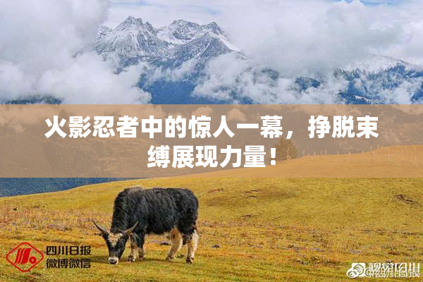 火影忍者中的惊人一幕，挣脱束缚展现力量！