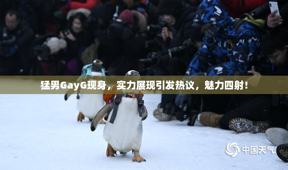 猛男GayG现身，实力展现引发热议，魅力四射！