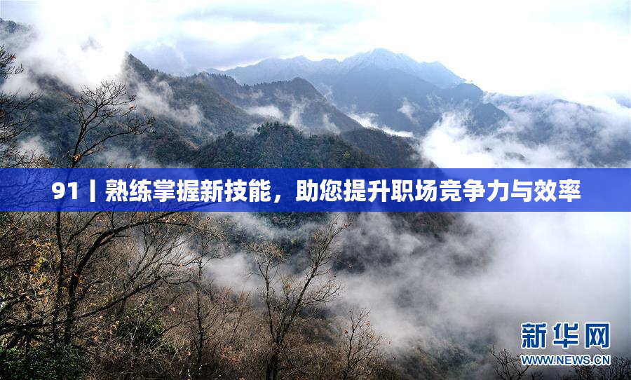 91丨熟练掌握新技能，助您提升职场竞争力与效率