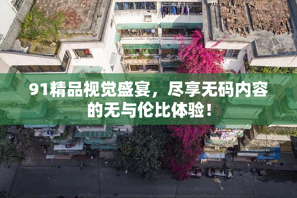 91精品视觉盛宴，尽享无码内容的无与伦比体验！