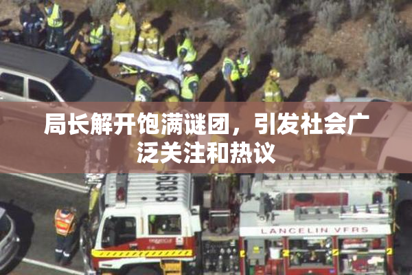 局长解开饱满谜团，引发社会广泛关注和热议