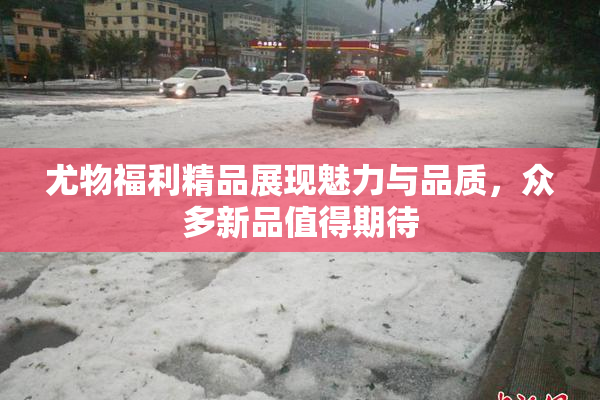 尤物福利精品展现魅力与品质，众多新品值得期待