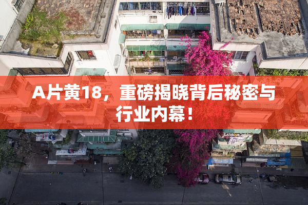 A片黄18，重磅揭晓背后秘密与行业内幕！