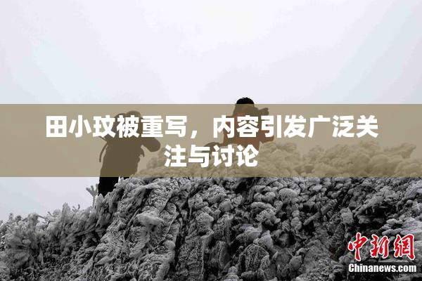 田小玟被重写，内容引发广泛关注与讨论