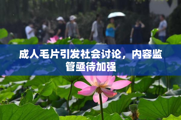 成人毛片引发社会讨论，内容监管亟待加强