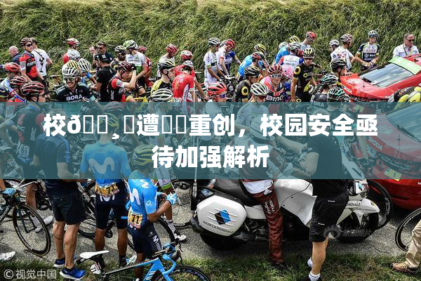 校🌸‌遭❌‌重创，校园安全亟待加强解析