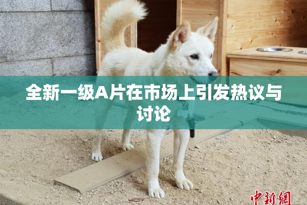 全新一级A片在市场上引发热议与讨论