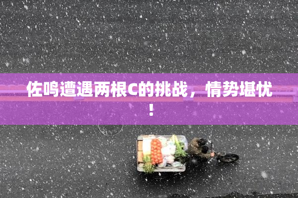 佐鸣遭遇两根C的挑战，情势堪忧！