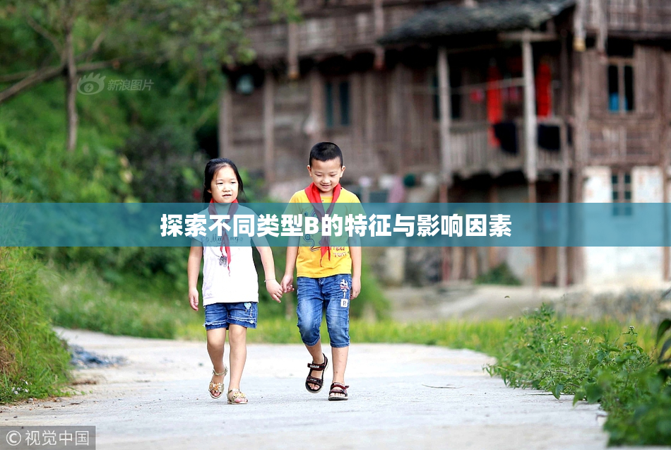 探索不同类型B的特征与影响因素