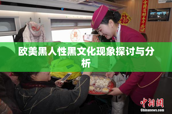 欧美黑人性黑文化现象探讨与分析