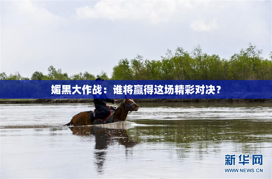 媚黑大作战：谁将赢得这场精彩对决？