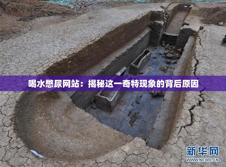 喝水憋尿网站：揭秘这一奇特现象的背后原因