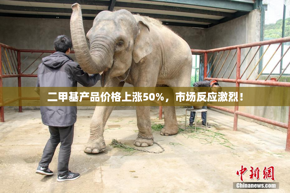 二甲基产品价格上涨50%，市场反应激烈！