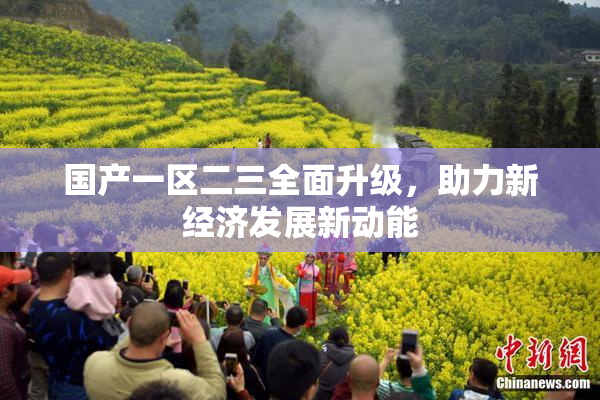 国产一区二三全面升级，助力新经济发展新动能