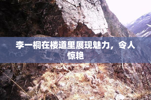 李一桐在楼道里展现魅力，令人惊艳
