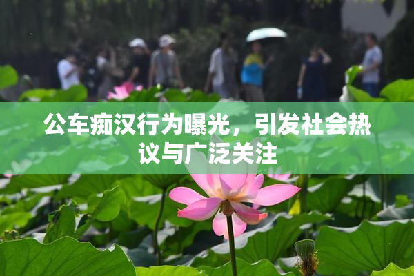 公车痴汉行为曝光，引发社会热议与广泛关注