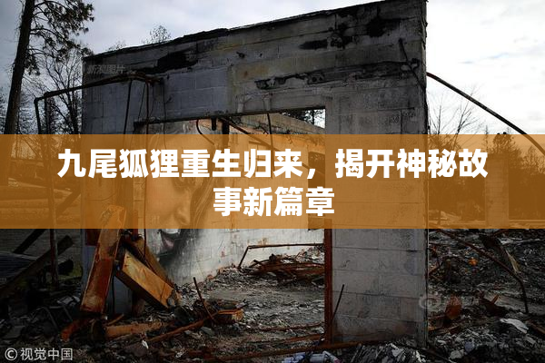 九尾狐狸重生归来，揭开神秘故事新篇章