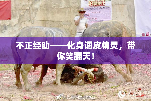 不正经助——化身调皮精灵，带你笑翻天！