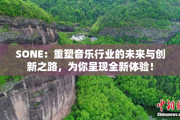 SONE：重塑音乐行业的未来与创新之路，为你呈现全新体验！