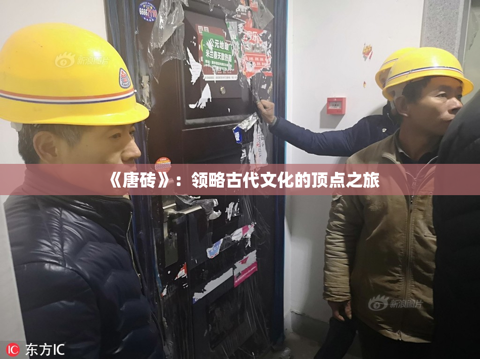 《唐砖》：领略古代文化的顶点之旅