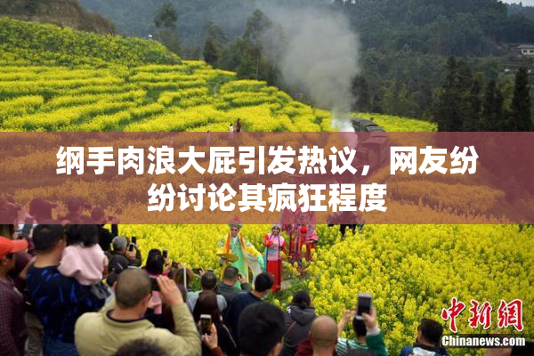 纲手肉浪大屁引发热议，网友纷纷讨论其疯狂程度