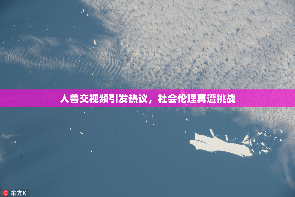 人兽交视频引发热议，社会伦理再遭挑战